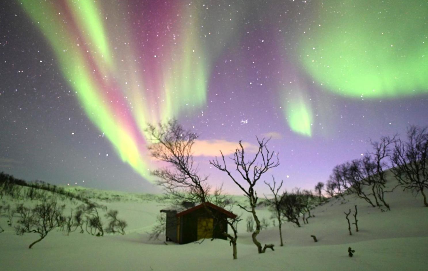 Atte Arstider Lodge Neiden 외부 사진